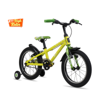 Xe đạp trẻ em RAIDER 2018 (4 đến 6 tuổi) (xanh lá cây)